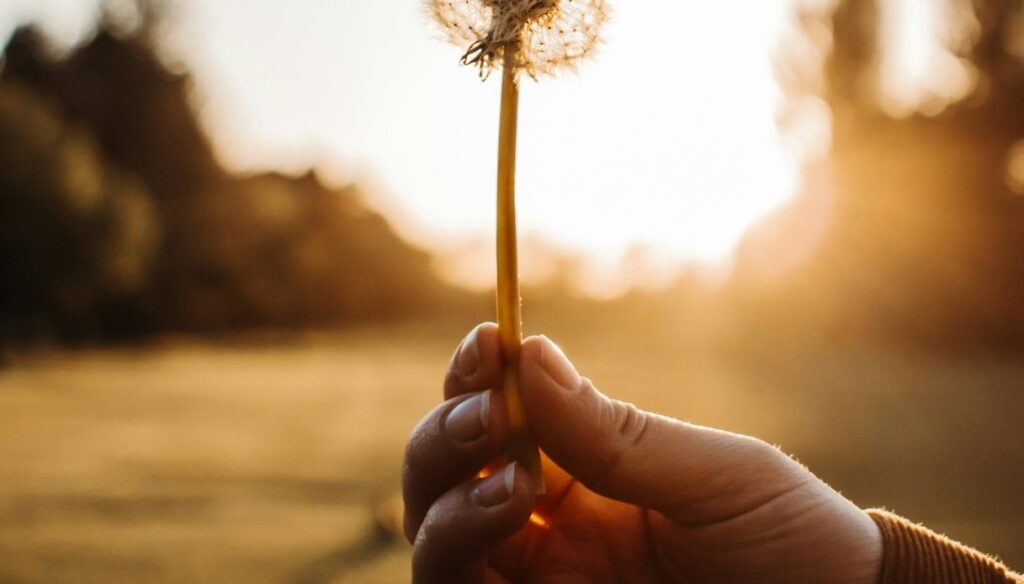 gesti per unghie sane in primavera
