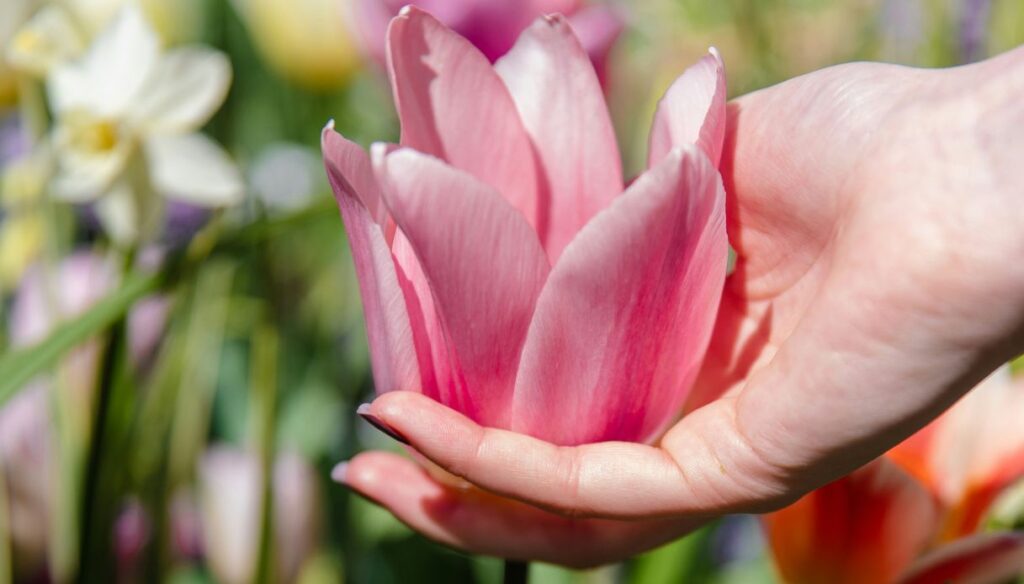 gesti per unghie sane in primavera